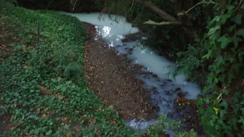 Environment Agency The Congresbury Yeo