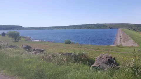 Killylane Reservoir on a sunny day there are green fields around the side