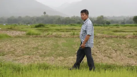 Panumas Sanguanwong/BBC Thai Kriangkrai Techamong in a paddy field