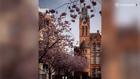 BBC Oozells Square blossom