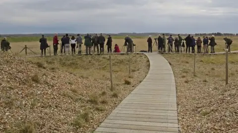 Les Bunyan Twitchers