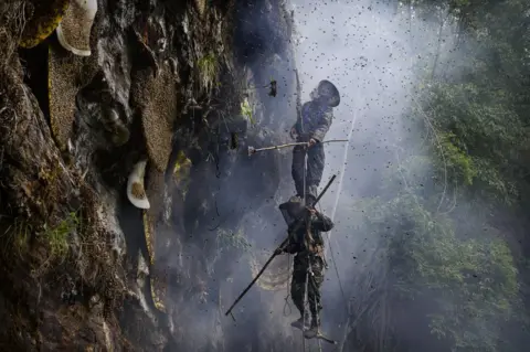 Kevin Frayer / Getty Images Honny hunters