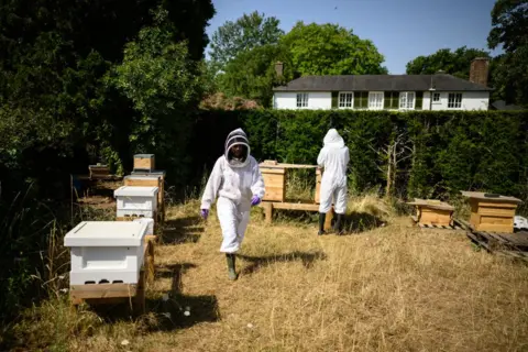 Leon Neal / Getty Images Beekeepers at work