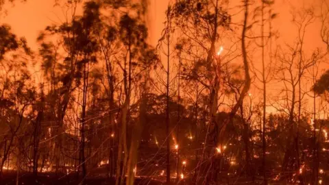 AFP A long exposure photograph shows embers fly off smouldering trees after flames from the "Wall fire" tore through a residential neighborhood near Oroville, California (09 July 2017)