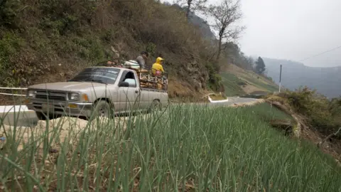 BBC A pick-up truck carries workers in the town of Zunil in Guatemala