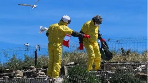 RSPB Wardens in PPE at Coquet Island