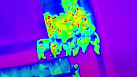 WMP People leaving the nightclub