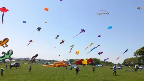 Visit East Yorkshire Kites in the sky