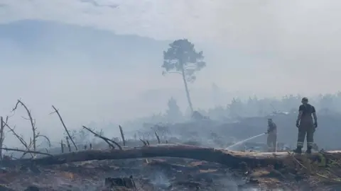 Dorset & Wiltshire Fire Service Wareham Forest Fire