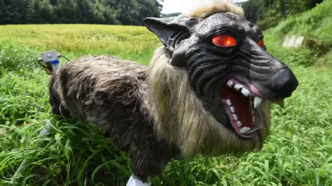 Super Monster Wolf' a success in Japan farming trials