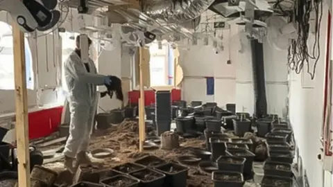 South Wales Police man in a white forensic holding a handful of dirt in a room with plant pots and a lot of electrical and pipework hanging from the ceiling