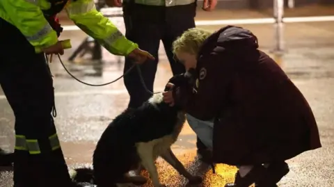 Island Echo Black and White Border Collie dog sat down in front of a woman who is crouched in front of the dog holding it's head - a member of the coastguard is standing behind the dog.