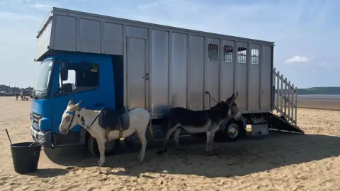 Donkeys on the beach at Weston-super-Mare