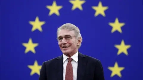 EPA Image shows European Parliament President David Sassoli last month