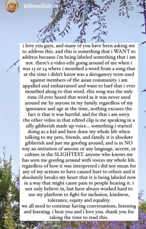 Screengrab/Billie Eilish Instagram Billie Eilish Instagram Story