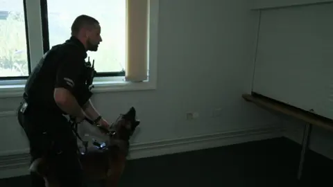 Richard Gill/BBC A police officer holds back his dog, a Belgian Malinois. Journalist Kevin Shoesmith is out of sight, hiding inside a raised cupboard