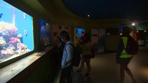 BBC National Marine Aquarium