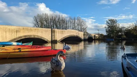 Paul Horsley MONDAY - Wareham