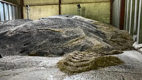 rape seed in a barn