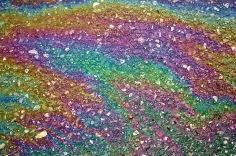 Sue Fleckney Oil moves across a puddle