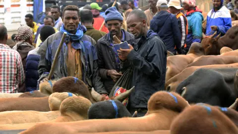 Getty Images A livestock market in Addis Ababa, Ethiopia - Friday 8 July 2022