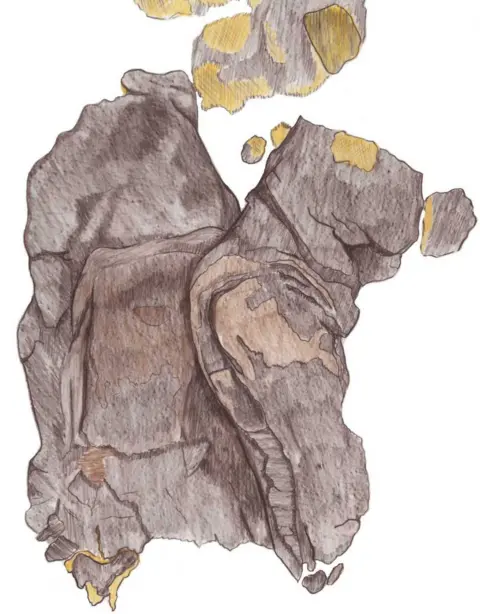 Dr Cecily Spall Sketch of boots and leggings