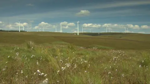 A windfarm