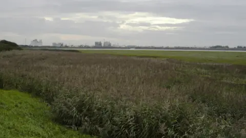 A shot, from a distance, of the former ICI works in Thorton-Cleveleys. It can be seen on the horizon over marsh land. 