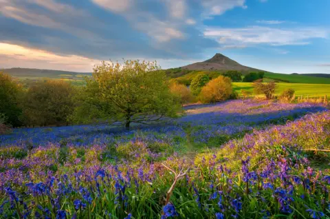 mariotlr Roseberry Topping