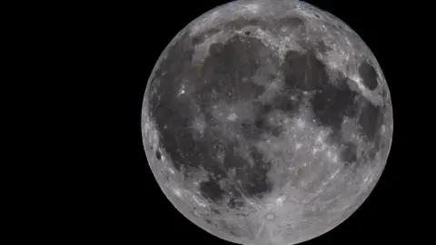 Anthony P Morris Harvest Moon