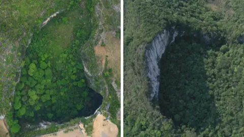 Xiqing Wang / BBC Aerial photos of two sinkholes in China's Guangxi province showing a sinkhole dropping away in the middle of the forest. Trees are growing everywhere - on the top of the cliffs as well as at the bottom of the oval-shaped hole. 