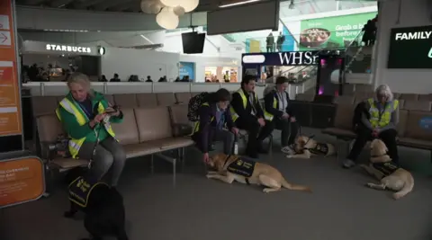 Four guide dog puppies with their trainers inside Southampton Airport