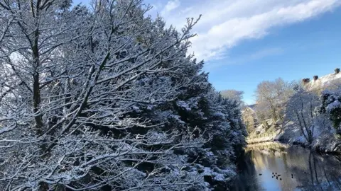 Fionnuala O'Hara River Bush near Armoy, County Antrim