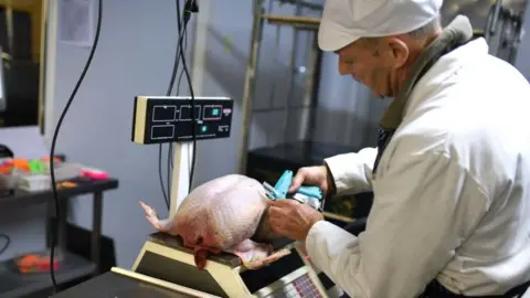 Getty Images Poultry worker weighing a turkey