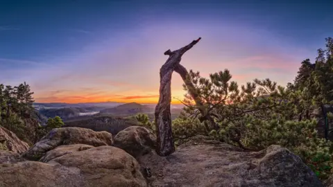 Getty Images landscape in the National Park Sächsische Schweiz