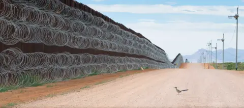 Alejandro Prieto / Bird Photographer of the Year A roadrunner stopped in its tracks by the USA-Mexico border wall