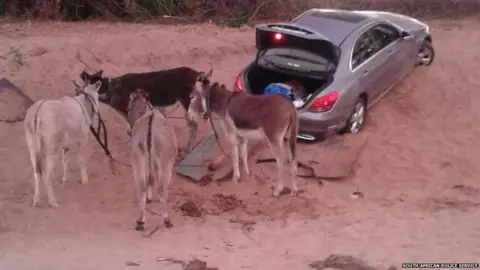 South african police service A pace of donkeys are photographed next to a stolen vehicle