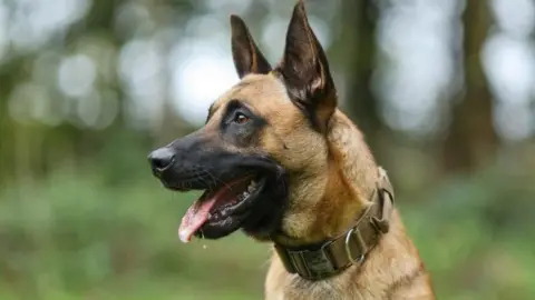Nottinghamshire Police PD Seth