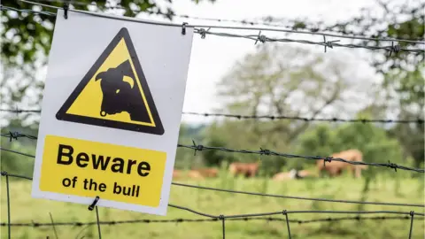 Getty Images A sign reading 'beware of the bull'