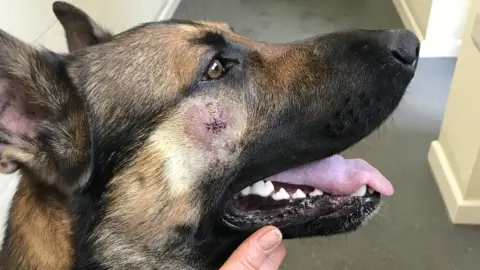 Nottinghamshire Police Quantum