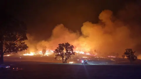 VicEmergency Night time shot of a bushfire with a hill covered in orange flames with smoke rising from the fire. A fire engine can be seen in the foreground with a tree still standing in the middle
