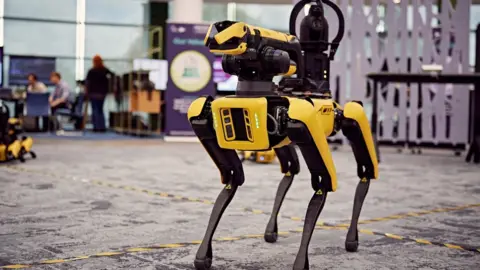 Jack Eckersley Robot dog