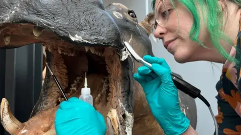 leeds city council billie