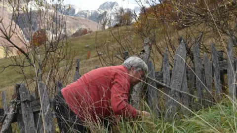  Valerjana Grishaj Gjystina gathering herbs on her land