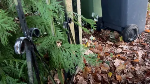 In the foreground are leaves from a small tree or fern spreading out through an iron gate. In the background are two wheelie bins on a bed of fallen dead brown leaves.
