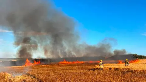 Fire crews fighting a blaze spreading across a fields. Smoke is rising from the fire. It is sunny.