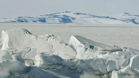 Getty Images Antarctica