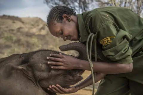 Ami Vitale A worker at the community-owned Reteti Elephant Sanctuary in northern Kenya