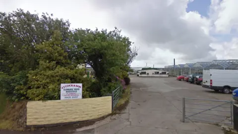 Google Clowand Wood Nurseries