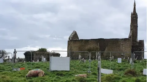 Templebreedy 'Save Our Steeple' St Matthew's Templebreedy Church